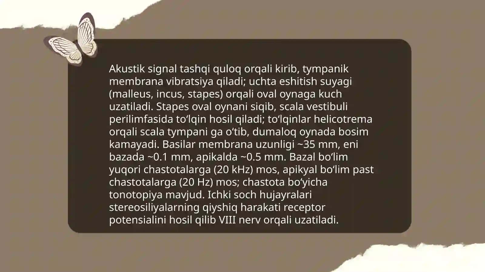 Eshituv va vestibular analizatorlar fiziologiyasi 4
