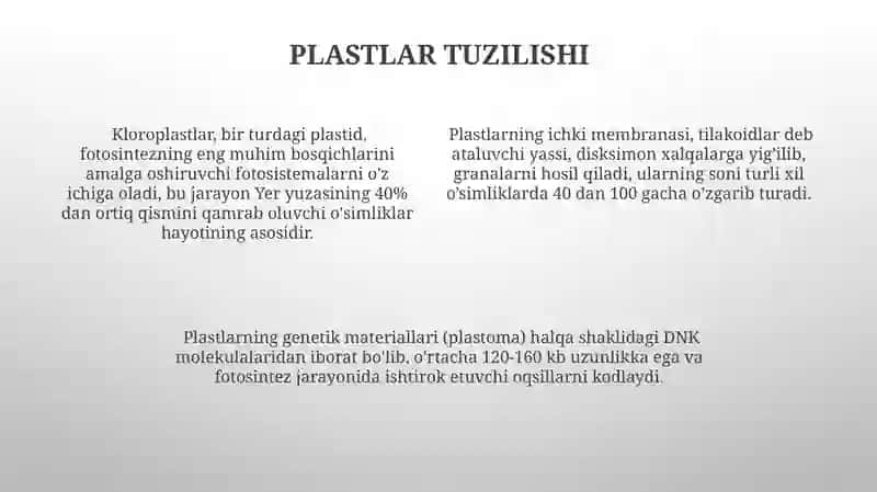 Mitoxondriya, Plastoidlar va Peroksisomalar tuzilishi 4