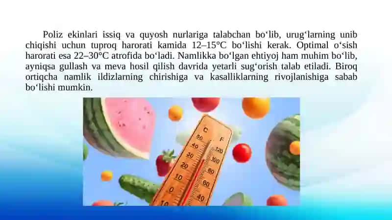 Poliz ekinlarini yetishtirishning biologik xususiyatlari 4