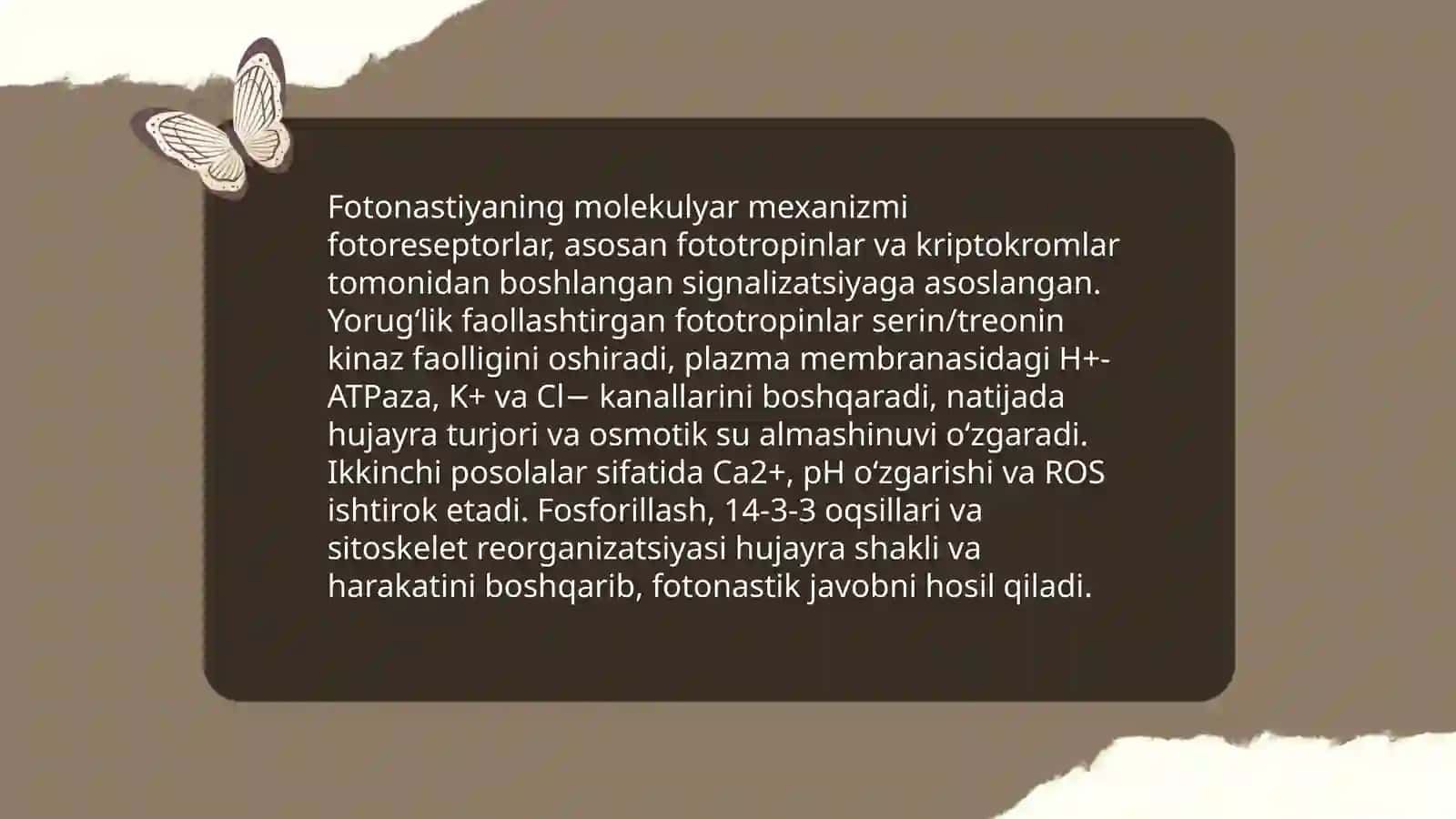 Fotonastiya 4