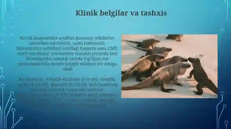 Hayvonlarda zardobli mastit 4