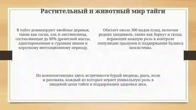 Поездка в таежный лес 4