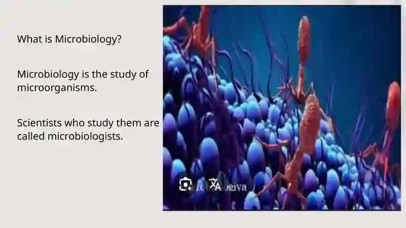 Microorganisms and Microbiology 4