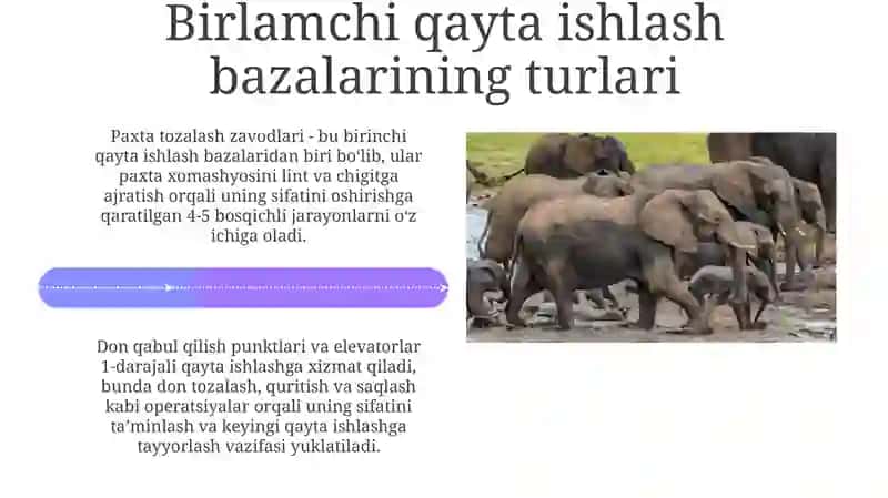 Pillanidastlabkiishlashbazalarivaularningvazifalari 4