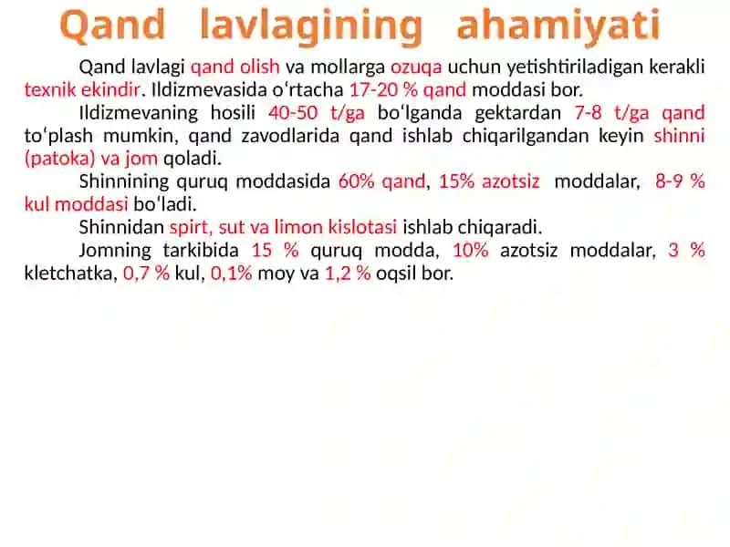 Ildizmevalilar ahamiyati 4