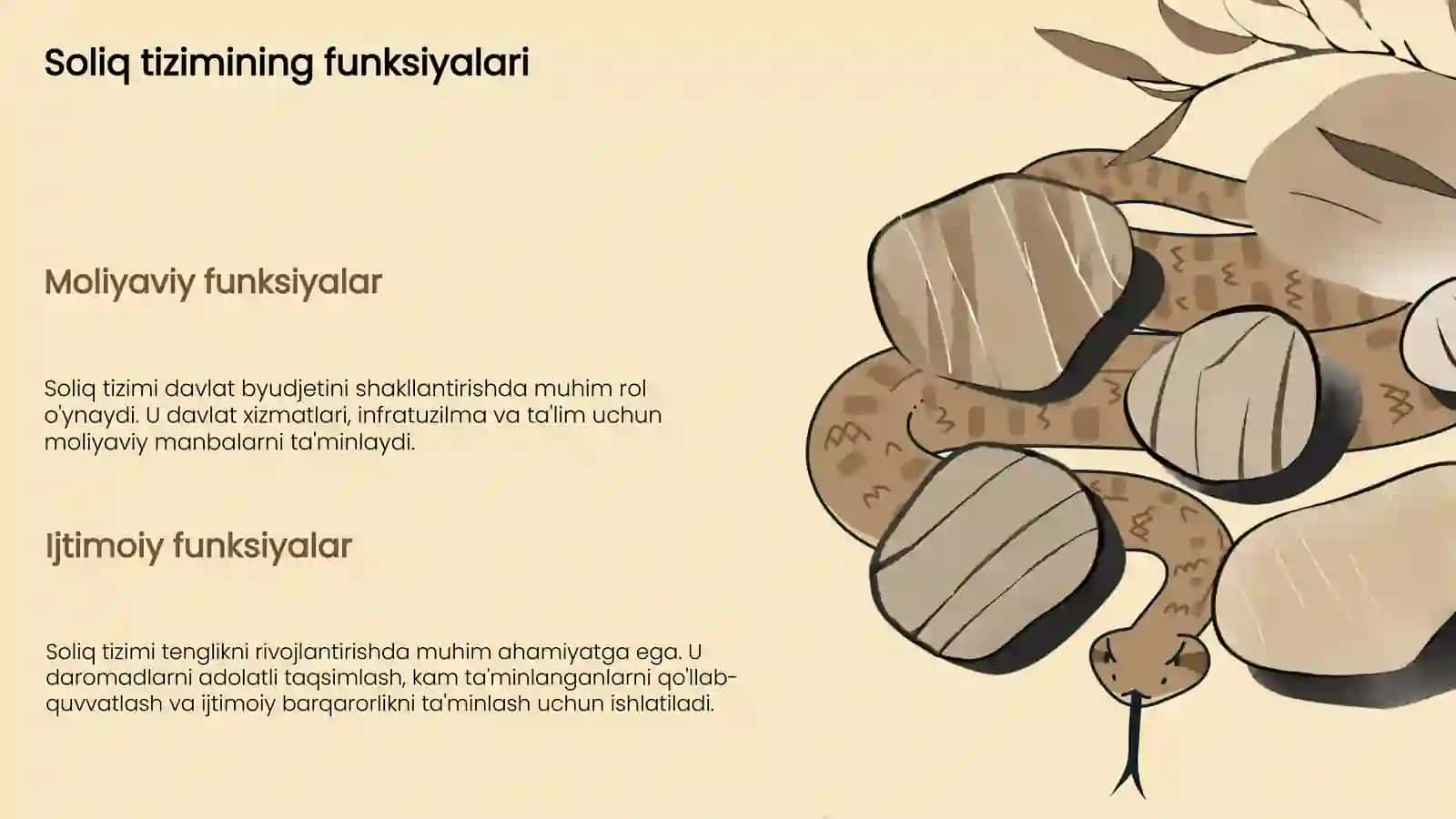 BAA soliq tizimi 4