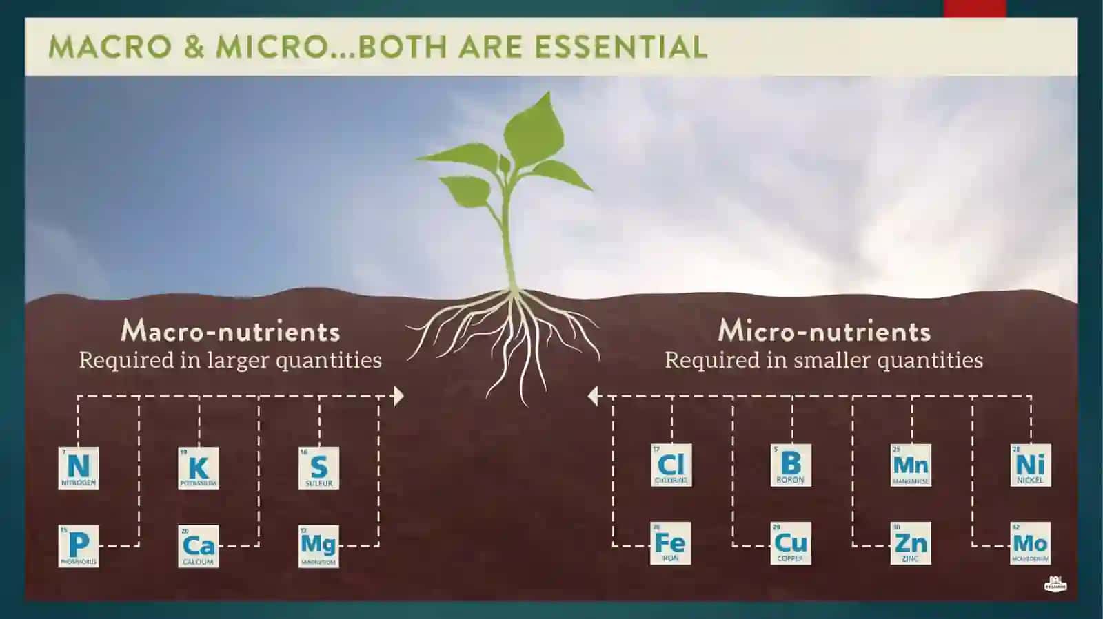 Sug‘oriladigan tuproqlarda mikro va makro elementlar biogeokimyosi 4