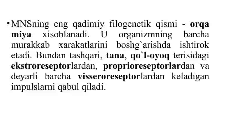 Nerv tizimining xususiy fiziologiyasi 4