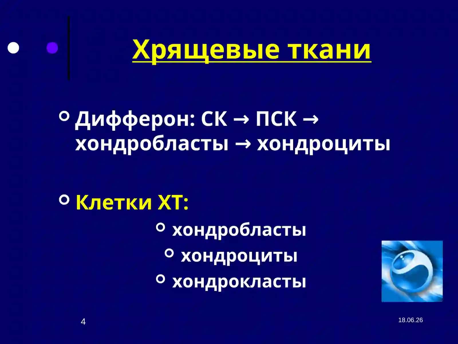 Лекция №6Скелетные ткани 4