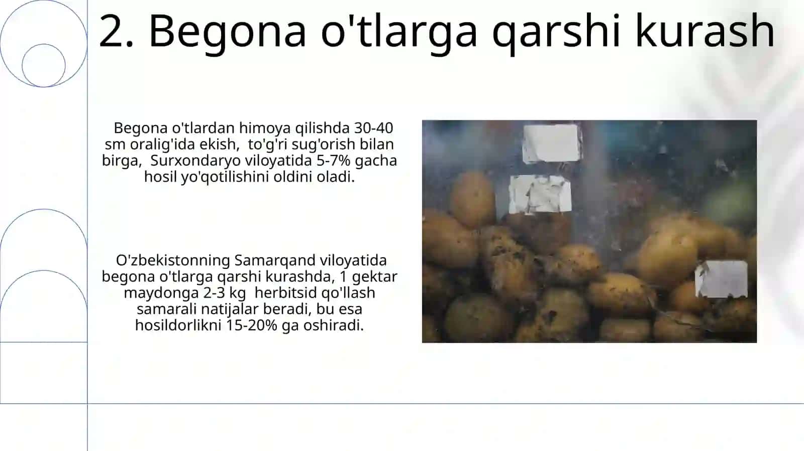 Kartoshkani õğitlash 4