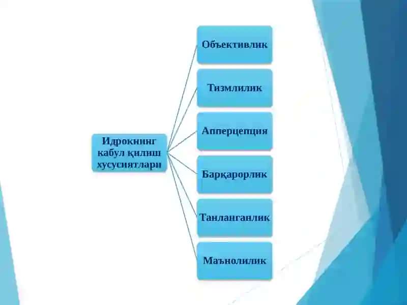 Идрок 4