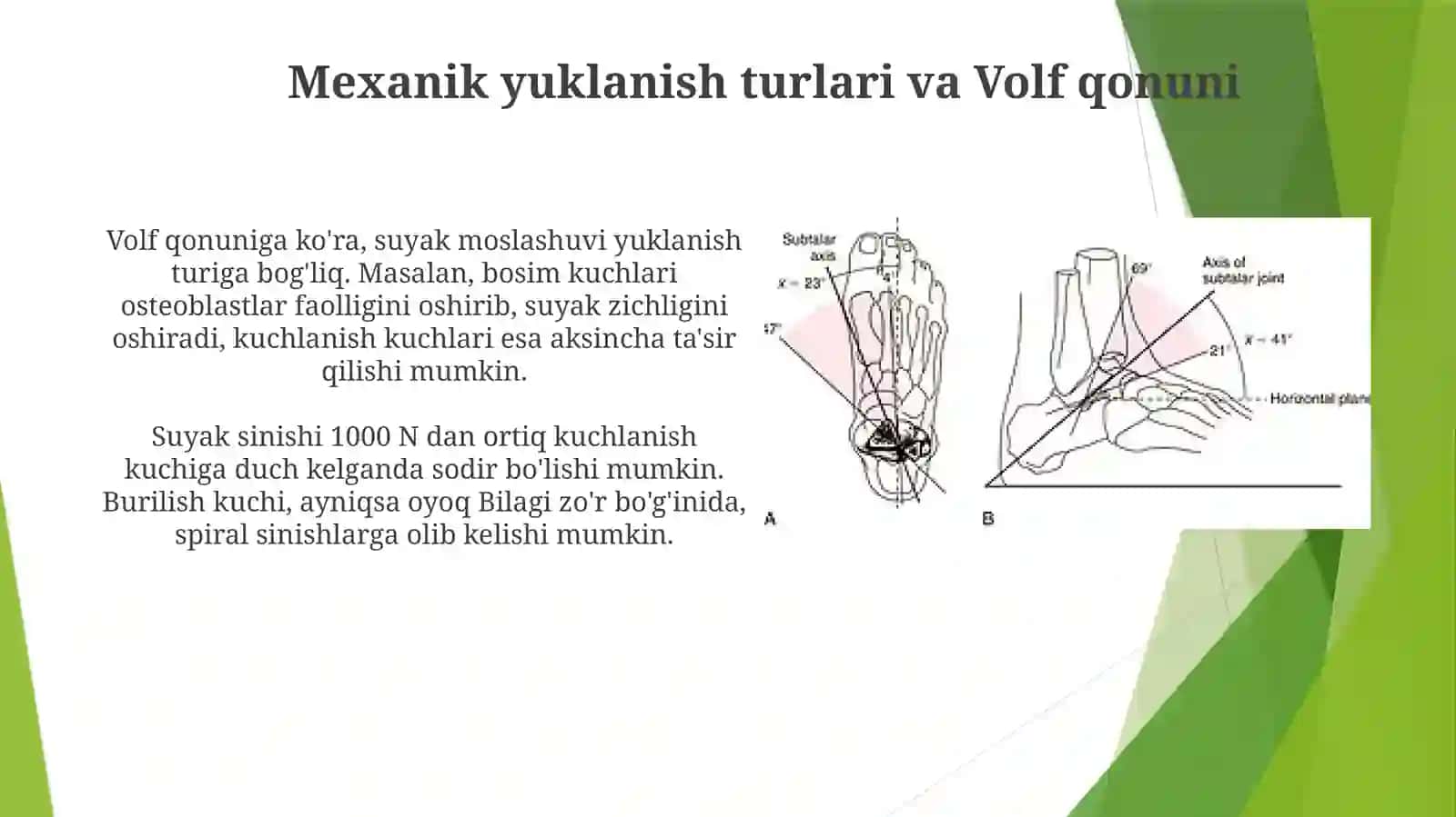 Mexanik harakatlarining suyaklarga ta'siri 4