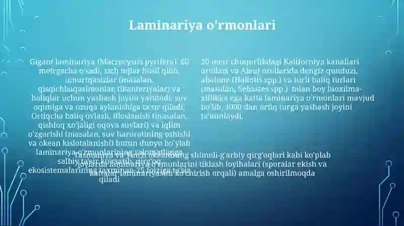 Dengizdagi organizmlar jamoalari 4
