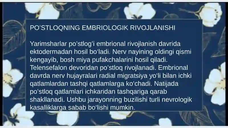 Yarimsharlar poʻstlogʻining tuzilishi 4