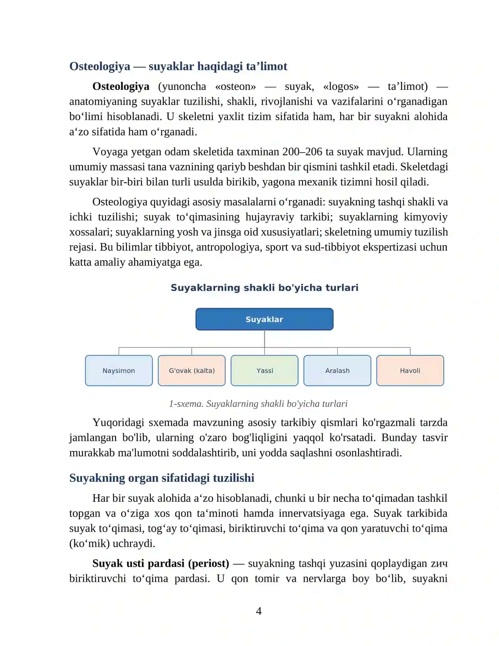 Suyaklar haqida ta’limot (osteologiya) va suyak to‘qimasining tuzilishi 4