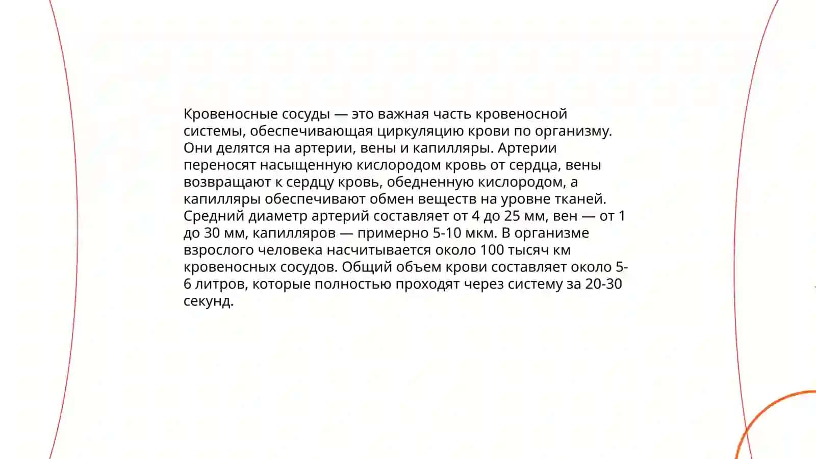Система кровообращения 4