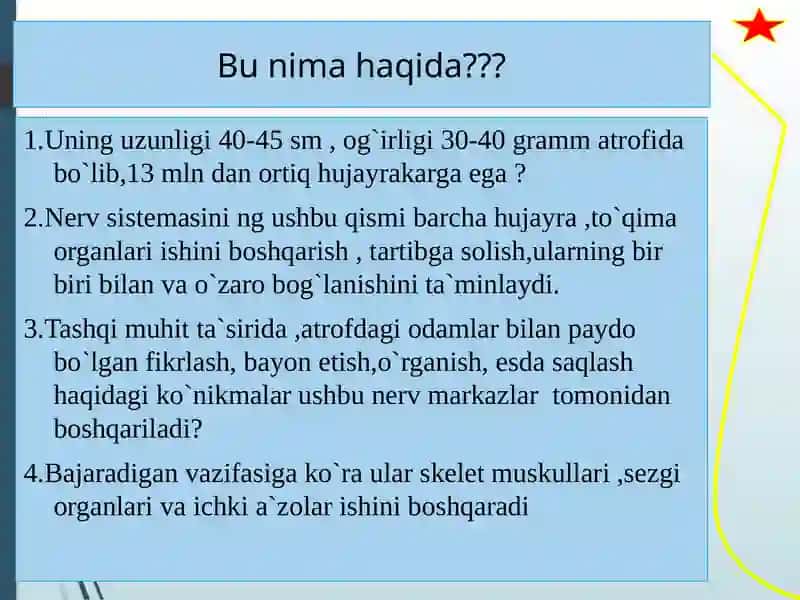 Nervsistemasikasalliklaris 4