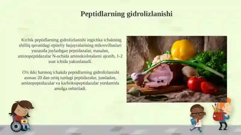 Oqsillarning hazmlanishi va so'rilishi 4