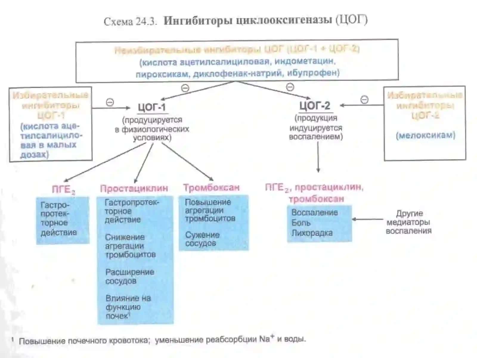 Яллигланишга карши воситалар 4
