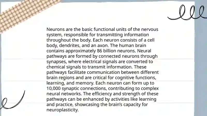 Anatomy of the Human Brain 4
