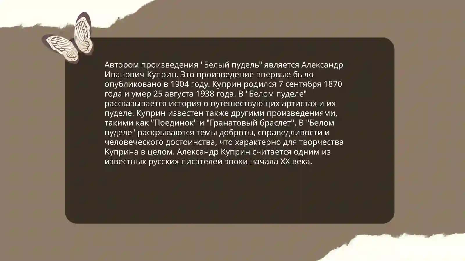 Белый пудель 4