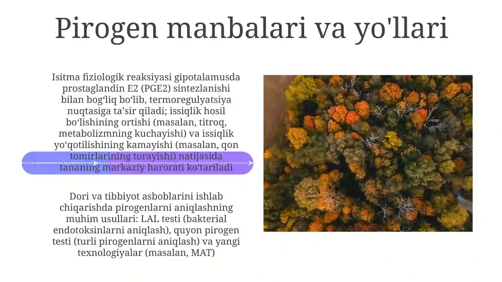 Pirogenmoddalarningtermoregulyatsiyajarayonidagiahamiyati 4