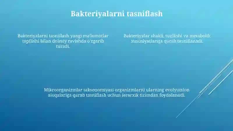 Mikroorganizmlar sistematikasi 4