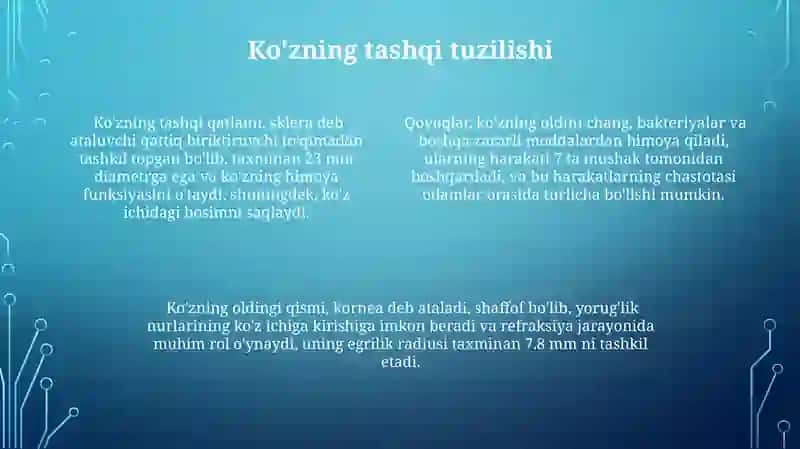 Ko'zning tuzilishi va faolyati 4