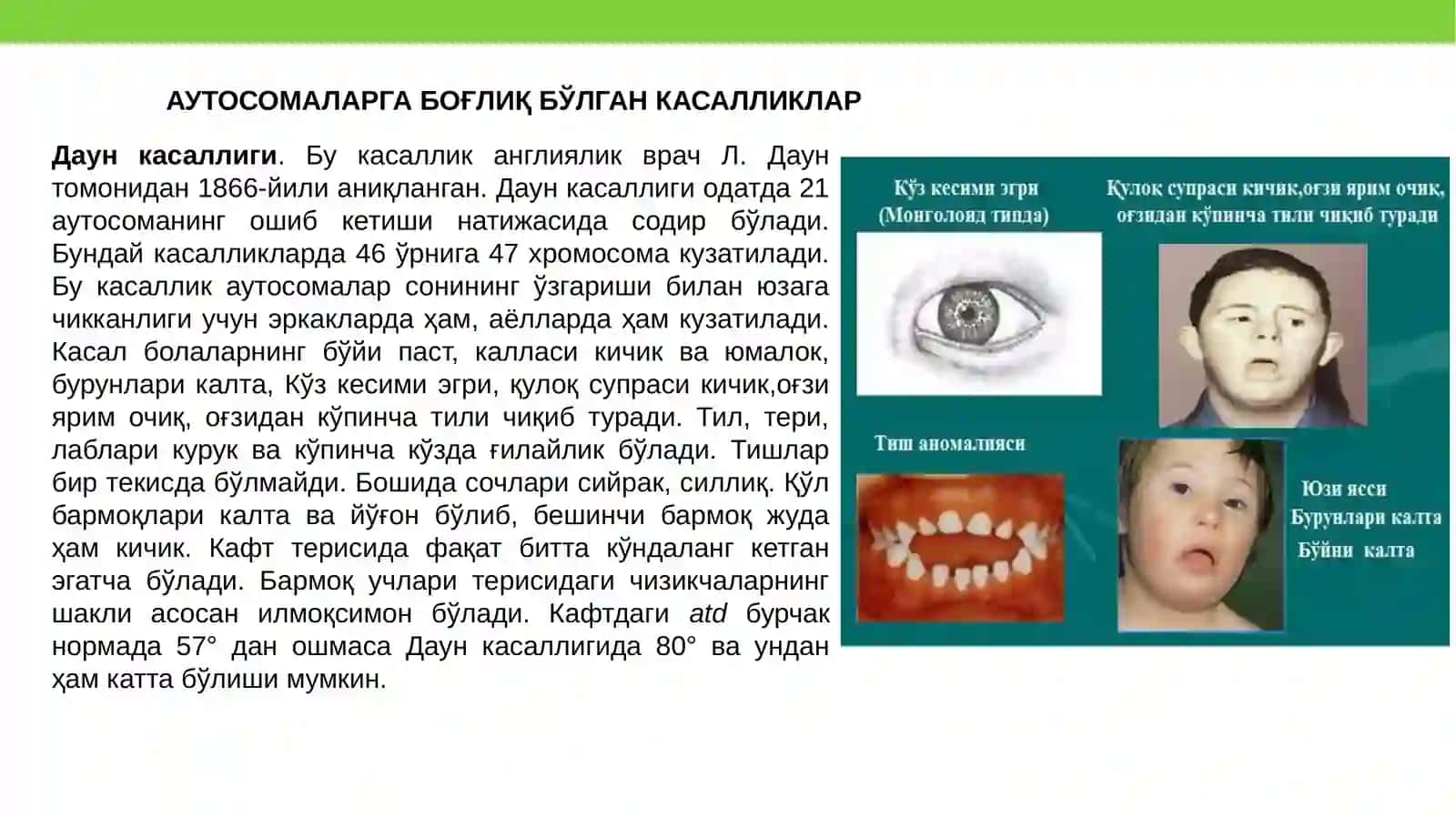 Ирсий касалликлар 4