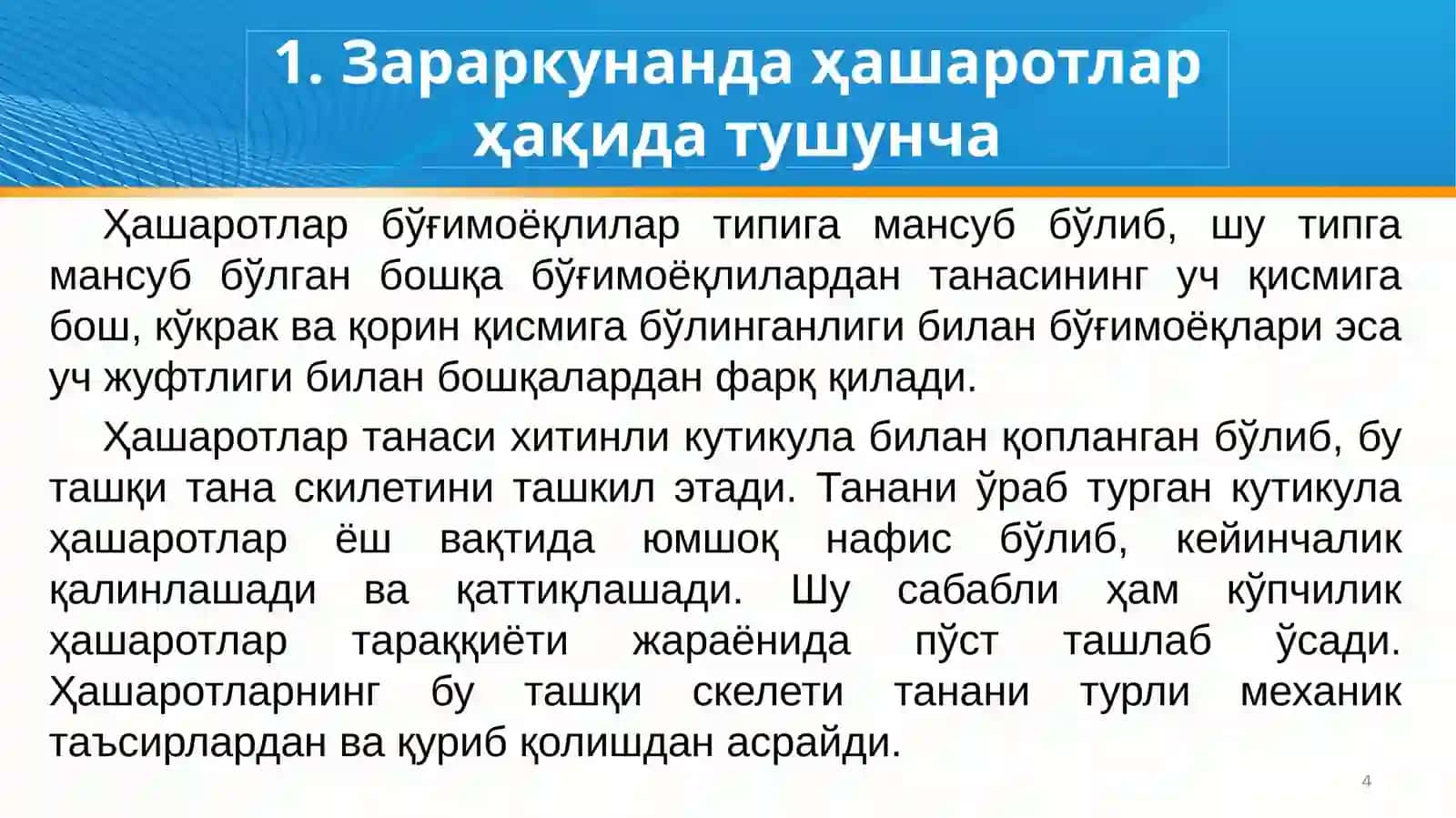 Ҳашаротларнинг морфологияси ва анатомияси 4