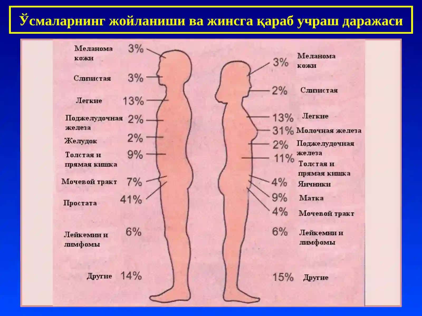 ПАТОЛОГИК АНАТОМИЯ 4