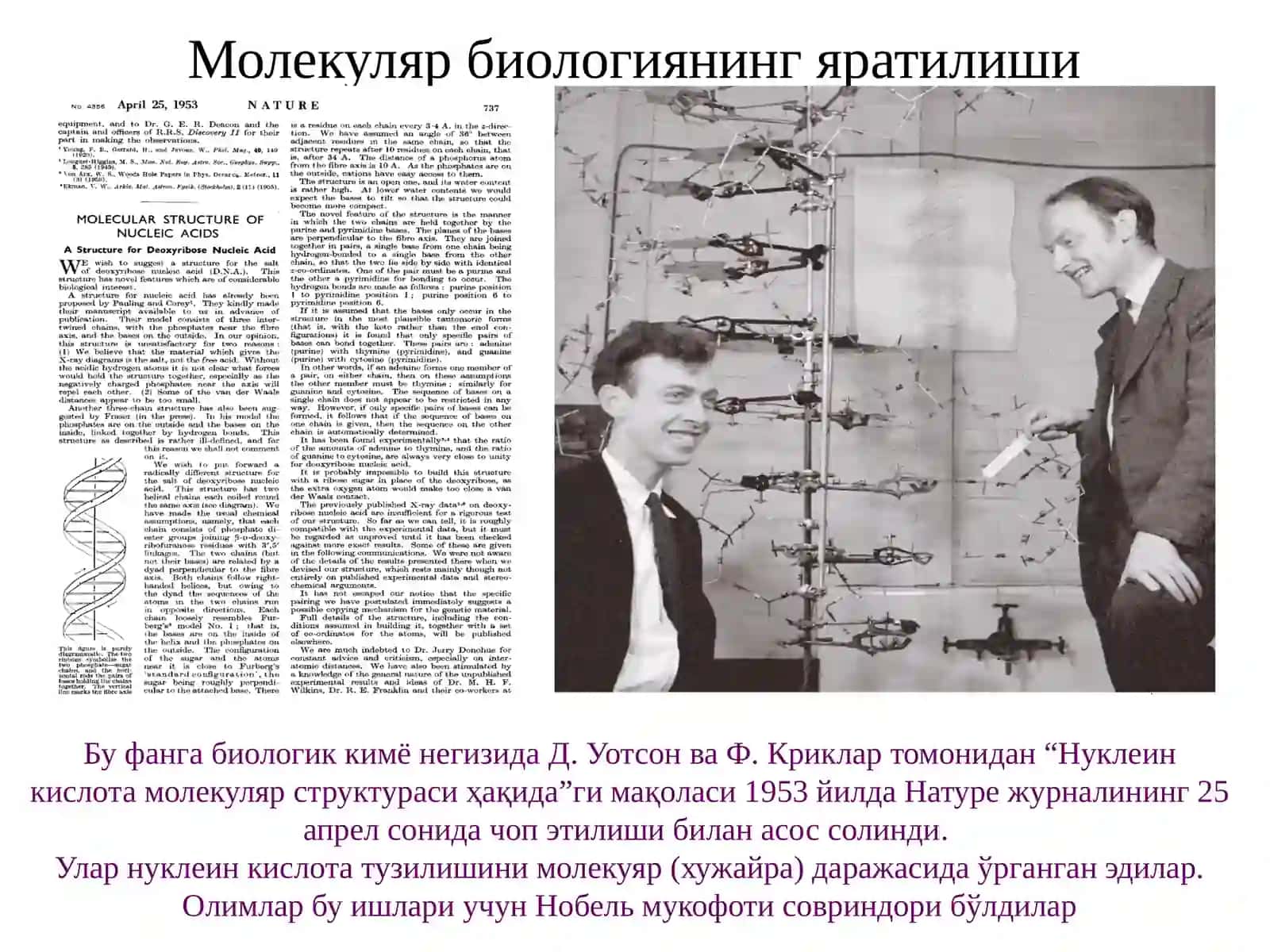 Молекуляр биология фанида 4