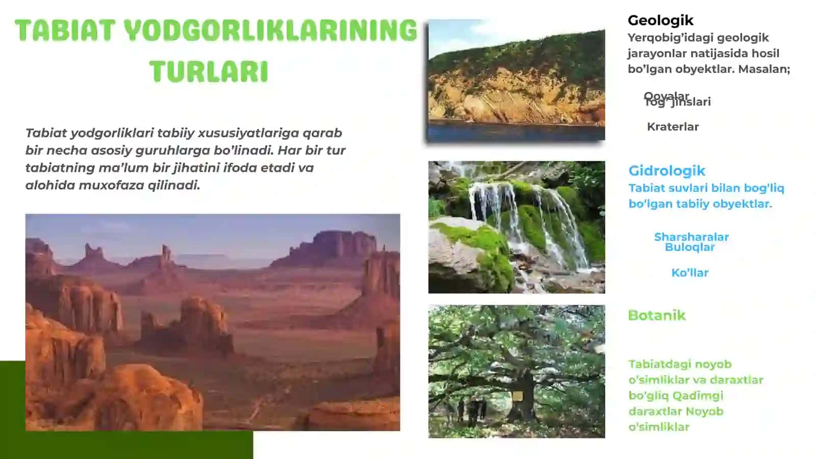 TABIAT YODGORLIKLARI. BOTANIK YODGORLIKLARl 4