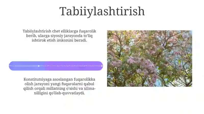 Tashqi siyosatning konstitutsiyaviy asoslari 4