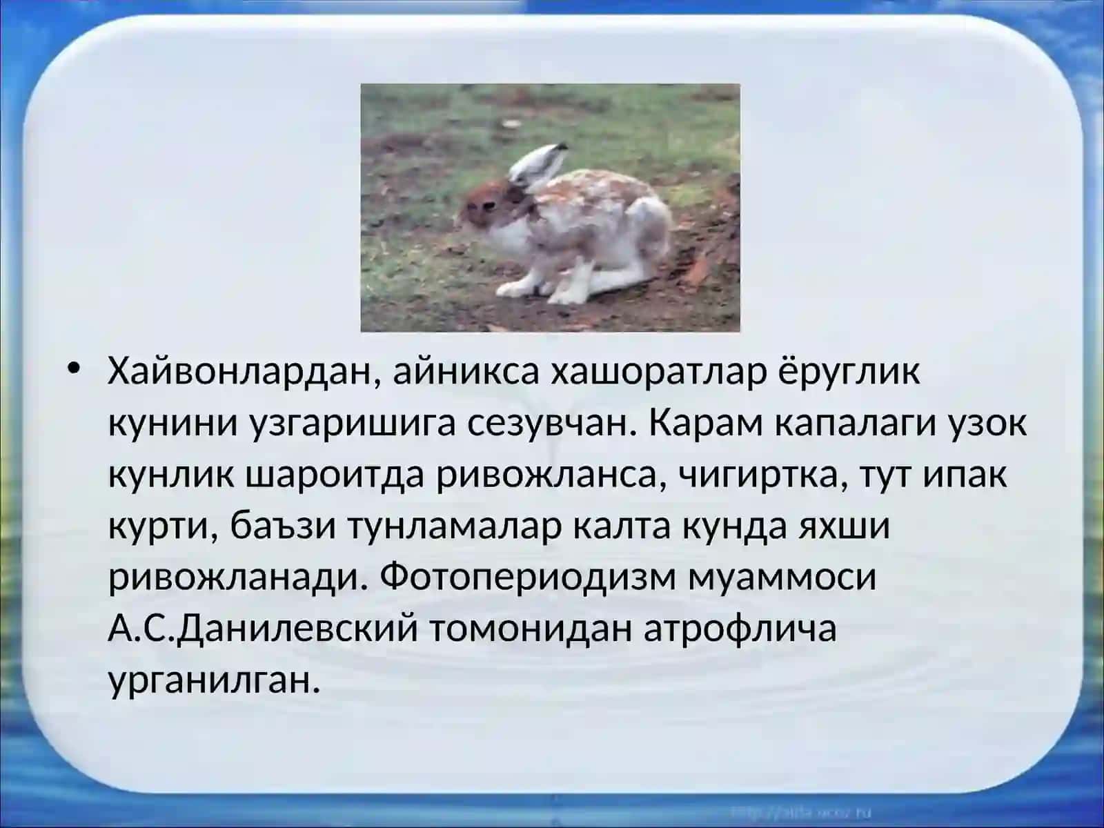 Фотопериодизм 4