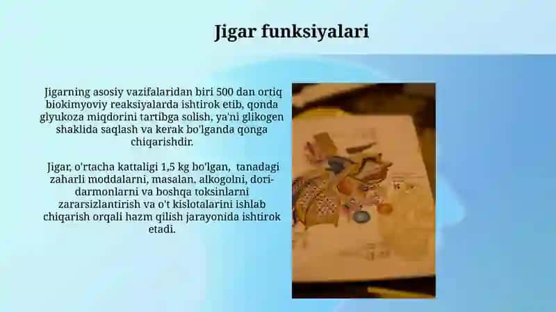 Jigar haqida umumiy ma'lumot 4