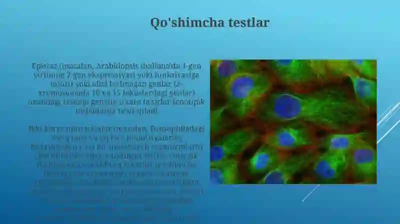 Epistaz turlari 4