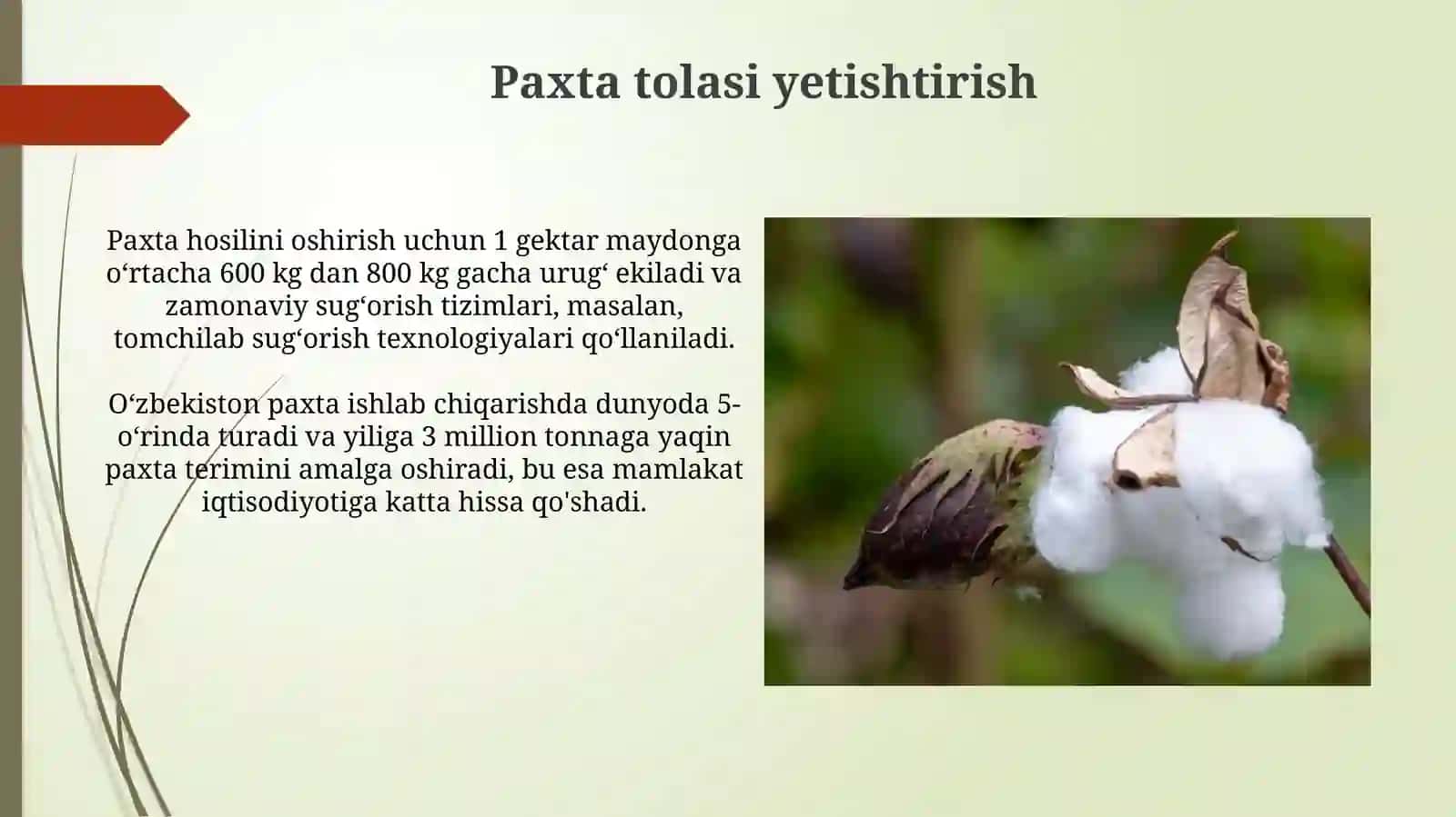 Paxta Tolasining Xossalari 4
