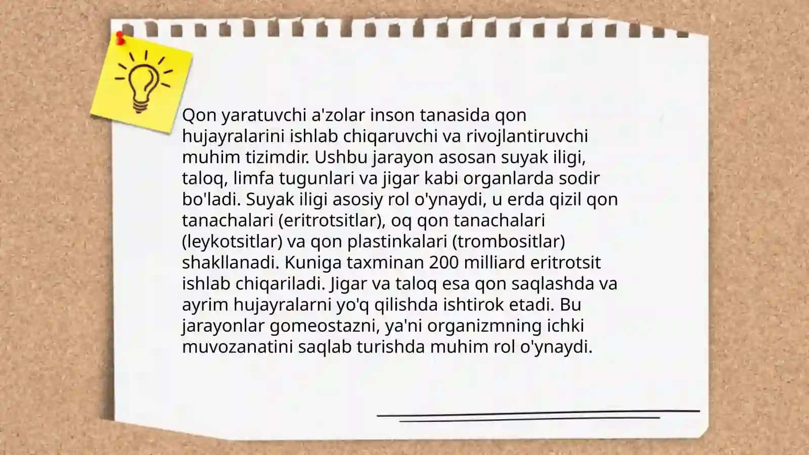 Qon yaratuvchi a'zolar 4