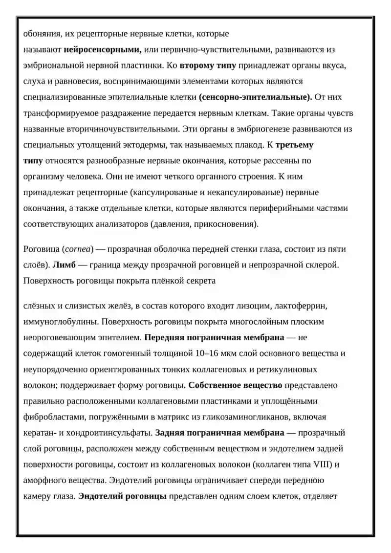 Органы чувств 4