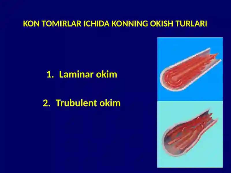 KONTOMIR FIZIOLOGIYASI 4