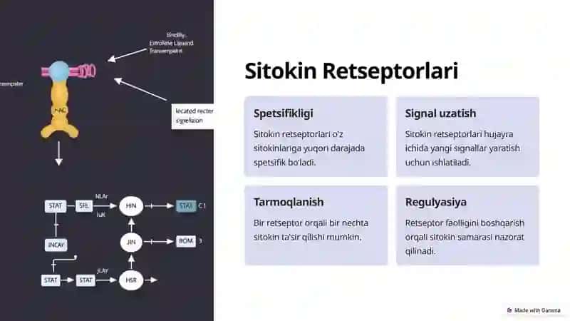 Sitokinlar, Interferon 4