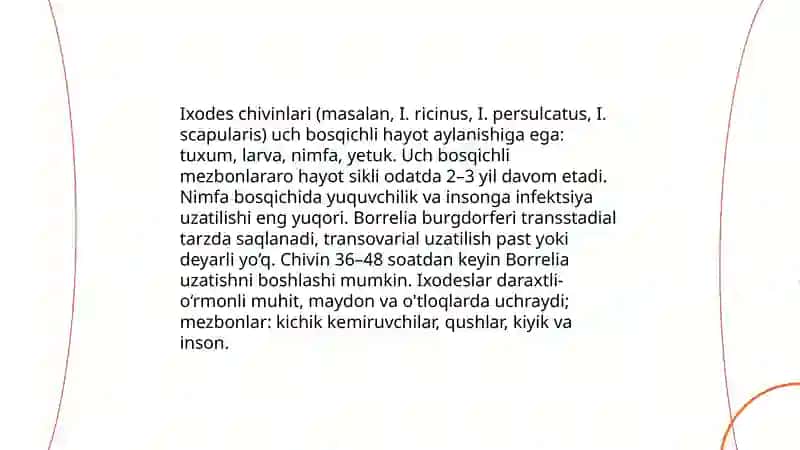 Borrelioz. Etiologiya, epidemiologiya, patogenez, klinika, laborator diagnostikasi, davolash va profilaktik chora-tadbirlar 4
