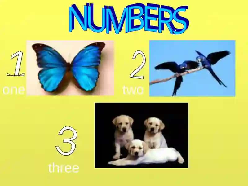 English For Kids 4