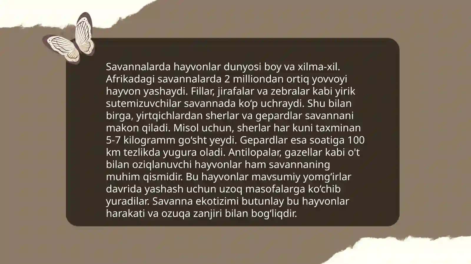 Yirtqich hayvonlar 4