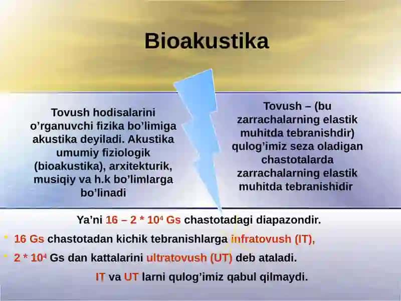 Bioakustika 4