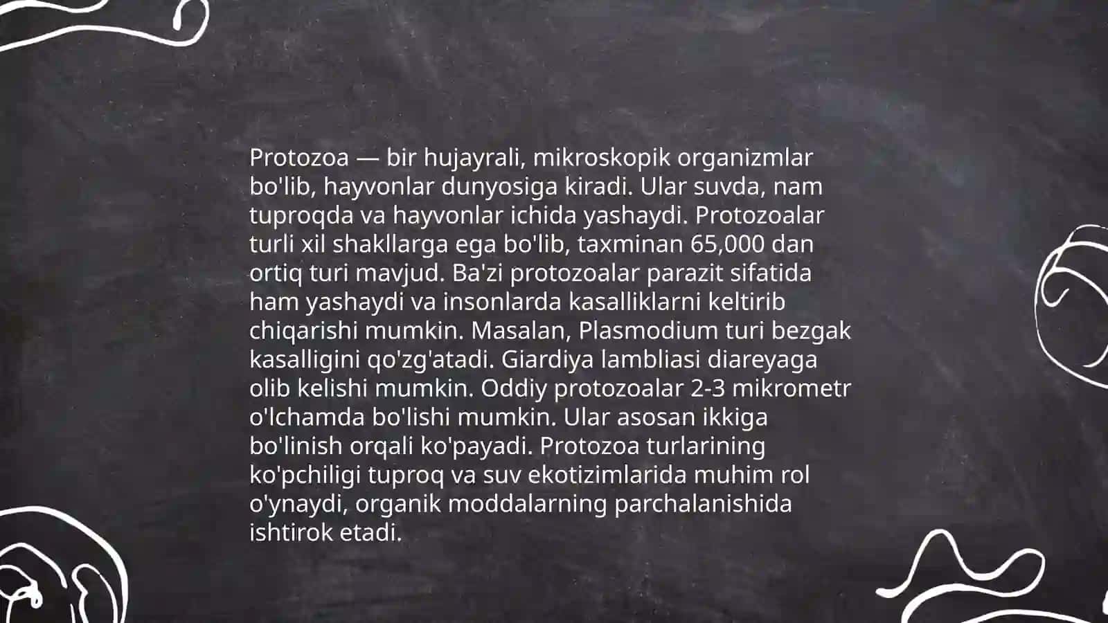 Sodda hayvonlar 4