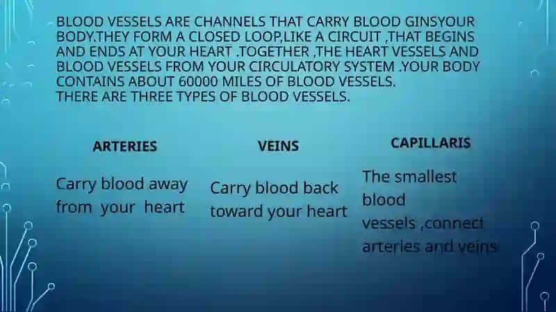 HEARt AND A VASCULAR SYSTEM 4