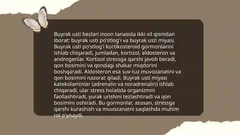 Buyrak usti bezlar 4
