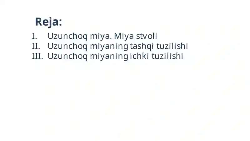 Uzunchoq miya 4